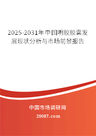 2025-2031年中国明胶胶囊发展现状分析与市场前景报告 2025-2031年中国明胶胶囊发展现状分析与市场前景报告