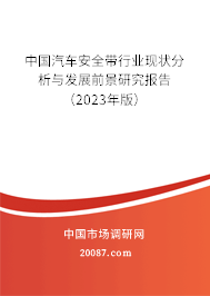 中国汽车安全带行业现状分析与发展前景研究报告（2023年版）