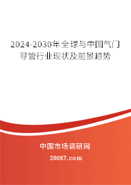 2024-2030年全球与中国气门导管行业现状及前景趋势