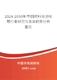 2024-2030年中国燃料电池电堆行业研究与发展趋势分析报告