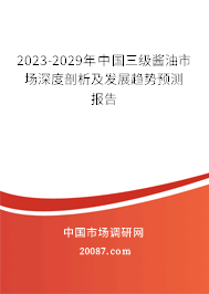 2023-2029年中国三级酱油市场深度剖析及发展趋势预测报告