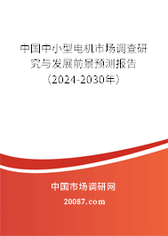 中国中小型电机市场调查研究与发展前景预测报告（2024-2030年）