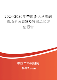 2024-2030年中国β-大马烯酮市场全面调研及投资风险评估报告