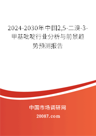 2024-2030年中国2,5-二溴-3-甲基吡啶行业分析与前景趋势预测报告