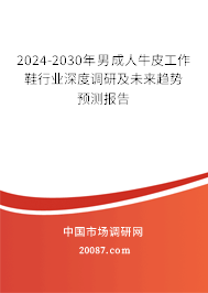 2024-2030年男成人牛皮工作鞋行业深度调研及未来趋势预测报告