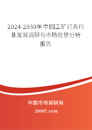 2024-2030年中国工矿灯具行业发展调研与市场前景分析报告