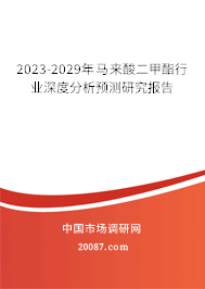 2023-2029年马来酸二甲酯行业深度分析预测研究报告