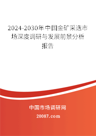 2024-2030年中国金矿采选市场深度调研与发展前景分析报告