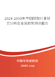 2024-2030年中国硫酸行业研究分析及发展趋势预测报告