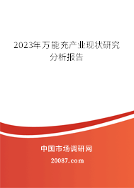 2023年万能充产业现状研究分析报告