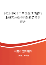 2023-2029年中国壁球球拍行业研究分析与前景趋势预测报告