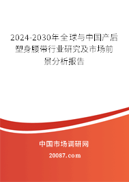 2024-2030年全球与中国产后塑身腰带行业研究及市场前景分析报告