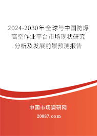 2024-2030年全球与中国防爆高空作业平台市场现状研究分析及发展前景预测报告