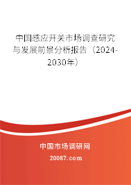 中国感应开关市场调查研究与发展前景分析报告（2024-2030年）