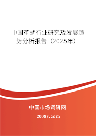 中国革胡行业研究及发展趋势分析报告(2025年) 中国革胡行业研究及发展趋势分析报告(2025年)