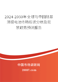 2024-2030年全球与中国硅基薄膜电池市场现状分析及前景趋势预测报告