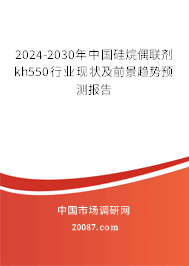 2024-2030年中国硅烷偶联剂kh550行业现状及前景趋势预测报告