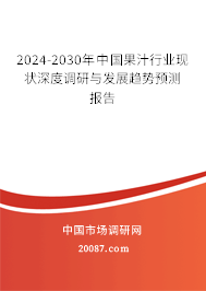 2024-2030年中国果汁行业现状深度调研与发展趋势预测报告