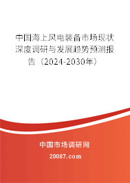 中国海上风电装备市场现状深度调研与发展趋势预测报告（2024-2030年）