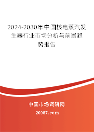 2024-2030年中国核电蒸汽发生器行业市场分析与前景趋势报告