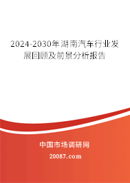 2024-2030年湖南汽车行业发展回顾及前景分析报告