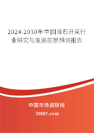 2024-2030年中国滑石开采行业研究与发展前景预测报告