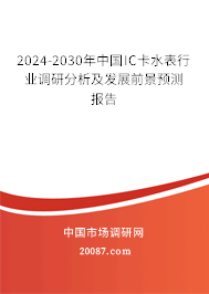 2024-2030年中国IC卡水表行业调研分析及发展前景预测报告