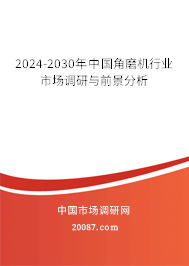 2024-2030年中国角磨机行业市场调研与前景分析