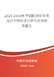 2024-2030年中国阶跃折射率光纤市场现状分析与前景趋势报告