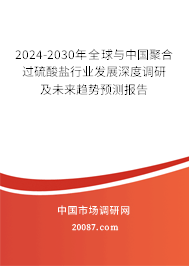 2024-2030年全球与中国聚合过硫酸盐行业发展深度调研及未来趋势预测报告