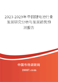 2023-2029年中国锂电池行业发展研究分析与发展趋势预测报告