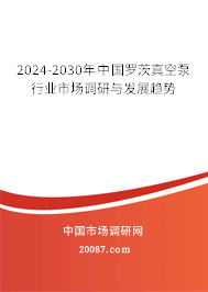 2024-2030年中国罗茨真空泵行业市场调研与发展趋势