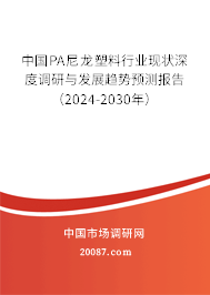 中国PA尼龙塑料行业现状深度调研与发展趋势预测报告（2024-2030年）