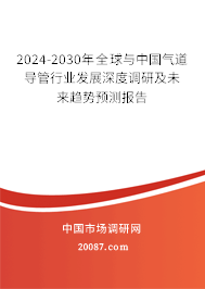 2024-2030年全球与中国气道导管行业发展深度调研及未来趋势预测报告