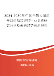 2024-2030年中国全铁大帽沿开口型抽芯铆钉行业调查研究分析及未来趋势预测报告