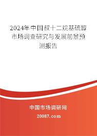 2024年中国叔十二烷基硫醇市场调查研究与发展前景预测报告