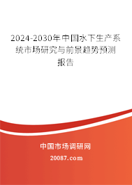 2024-2030年中国水下生产系统市场研究与前景趋势预测报告