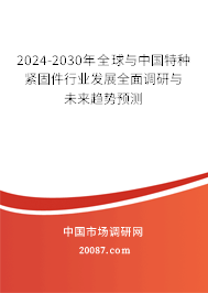 2024-2030年全球与中国特种紧固件行业发展全面调研与未来趋势预测