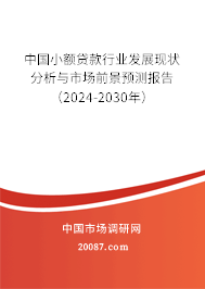 中国小额贷款行业发展现状分析与市场前景预测报告（2024-2030年）