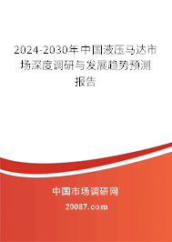 2024-2030年中国液压马达市场深度调研与发展趋势预测报告