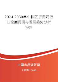 2024-2030年中国乙肝用药行业全面调研与发展趋势分析报告