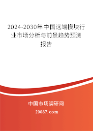 2024-2030年中国远端模块行业市场分析与前景趋势预测报告