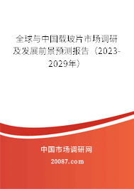 全球与中国载玻片市场调研及发展前景预测报告（2023-2029年）