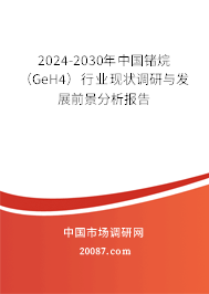 2024-2030年中国锗烷（GeH4）行业现状调研与发展前景分析报告