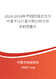 2024-2030年中国直臂式高空作业平台行业市场分析与前景趋势报告