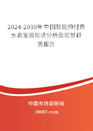 2024-2030年中国智能预付费水表发展现状分析及前景趋势报告