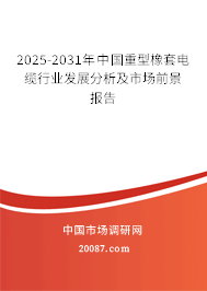2025-2031年中国重型橡套电缆行业发展分析及市场前景报告 2025-2031年中国重型橡套电缆行业发展分析及市场前景报告