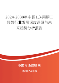 2024-2030年中国1,3-丙酮二羧酸行业发展深度调研与未来趋势分析报告