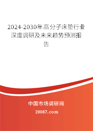 2024-2030年高分子床垫行业深度调研及未来趋势预测报告