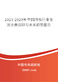 2023-2029年中国薄板行业发展全面调研与未来趋势报告